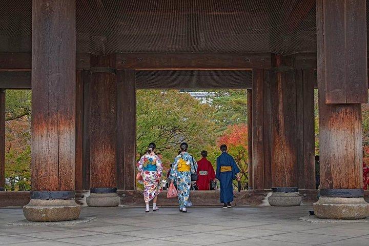 Kyoto Temples and Nature Private Tour from Osaka