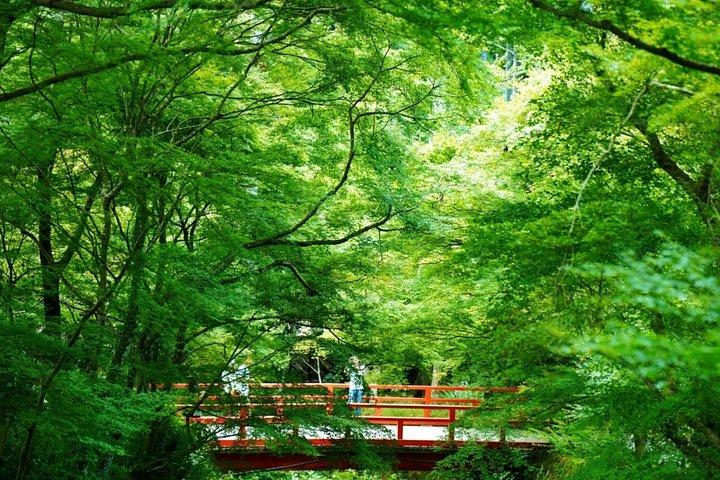 Kyoto Temples and Nature Private Tour from Osaka