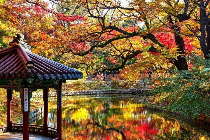 1日3宮殿と秘密の庭園隠されたロイヤルソウル