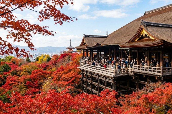 東京から1日で行ける京都・大阪｜重要な見どころをすべて見る