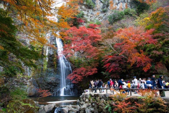 Excursión privada a Osaka desde Osaka