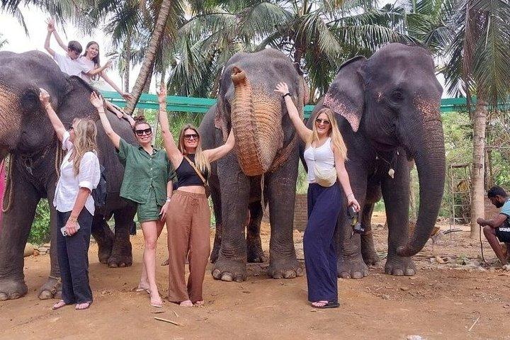 Kandy Day Tour from Colombo