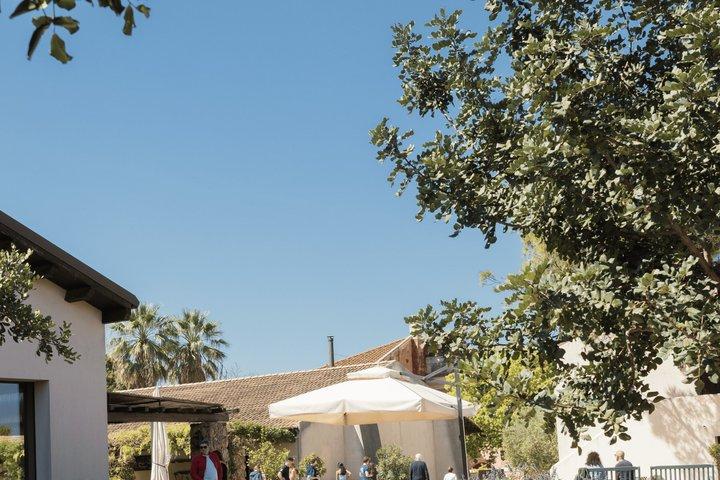 Mozzarella Experience: Tour + Pranzo in Caseificio