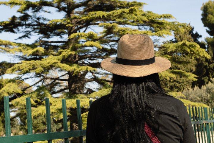 Paestum Orientation Tour