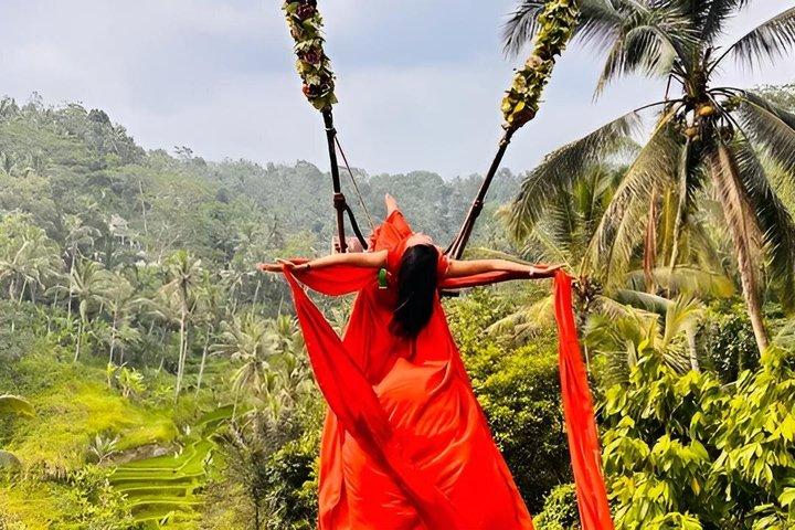 Private Ubud Day Tour: Monkey Forest, Rice Terrace & Hellig Forår