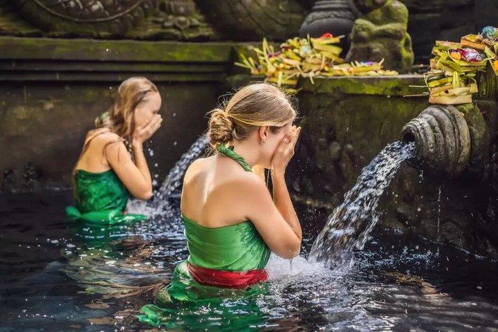 Private Ubud Day Tour: Monkey Forest, Rice Terrace & Hellig Forår