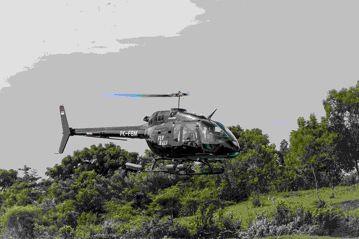 Bali Private Helikoptertour mit epischen Luftansichten