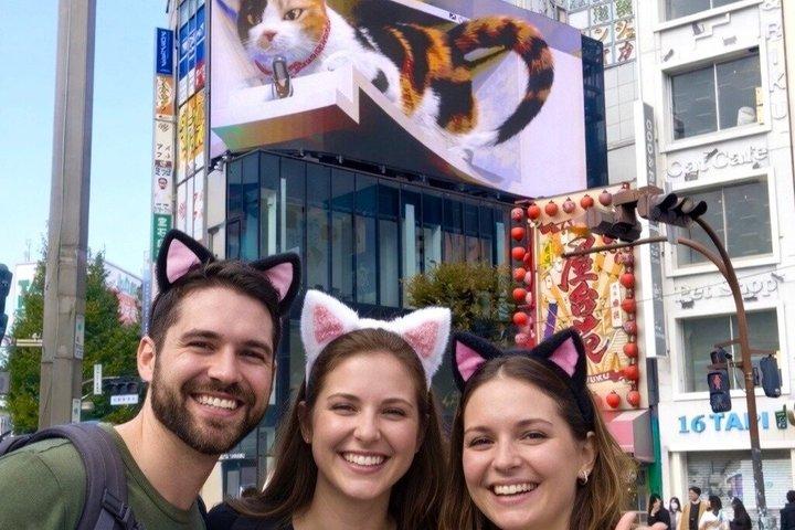 Tokyo: Gotokuji Cat Temple, Shinjuku Cat Cafe and 3D Cat PM Tour