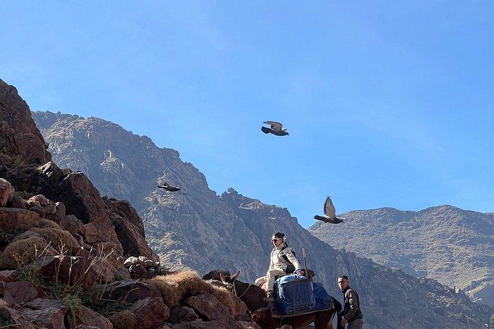 Fra Marrakech Toubkal top 2 dage vandreture