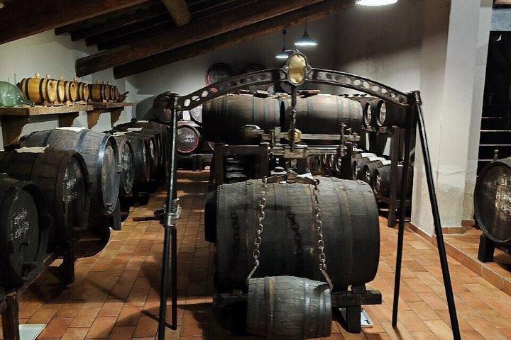 Balsamic Vinegar Cellar Guided tour and tasting in Modena