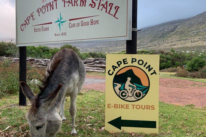 Cape Point : Klassische E-Bike-Tour