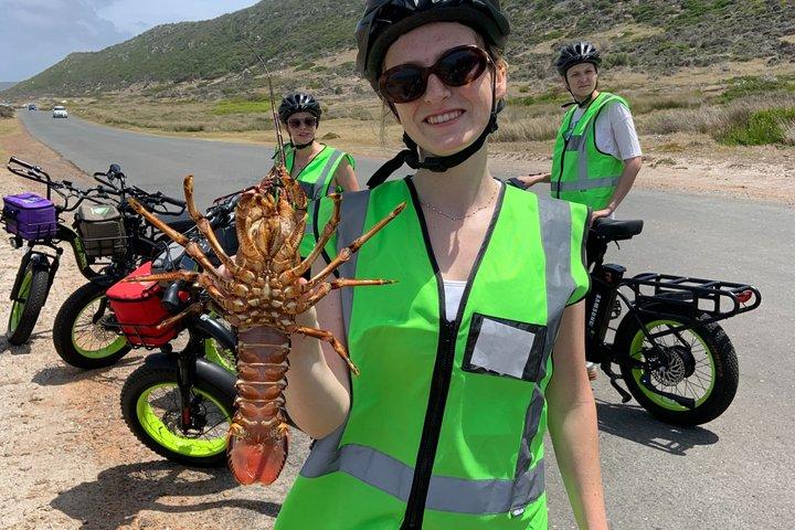 Cape Point : Klassische E-Bike-Tour