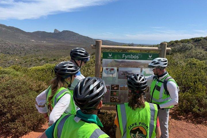 Cape Point : Klassische E-Bike-Tour
