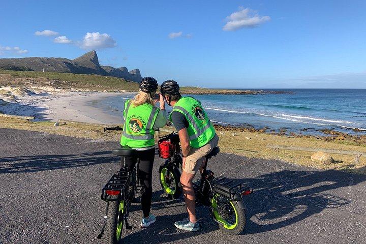Cape Point : Klassische E-Bike-Tour