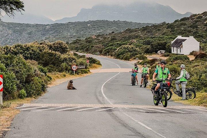 Cape Point : Klassische E-Bike-Tour
