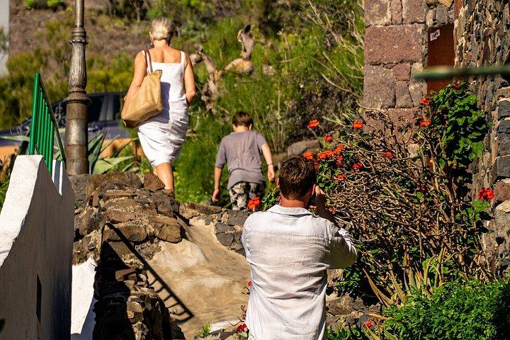 Tenerife Highlights Giants & Masca Coastal Cliffs
