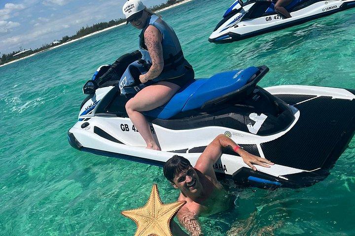 Swim with Pigs and Skis Tour Experience