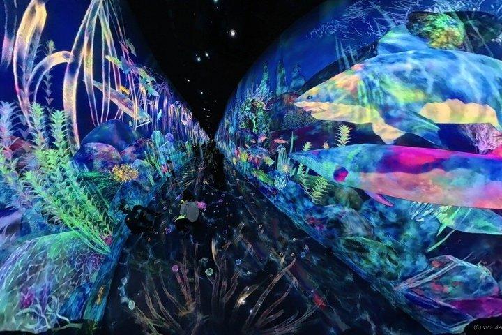 TeamLab Planets Entrada a TOKIO