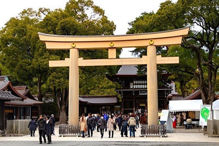東京ファミリーフレンドリープライベートツアー