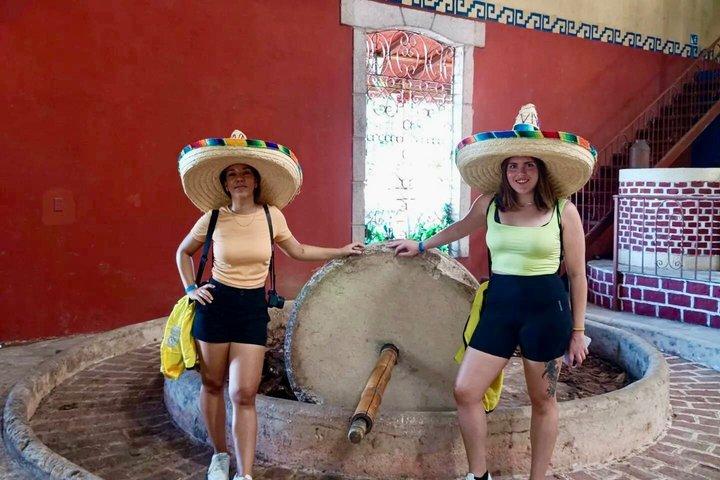 Tequila- und Mezcal-Verkostungstour auf dem Bauernhof Agave in Valladolid