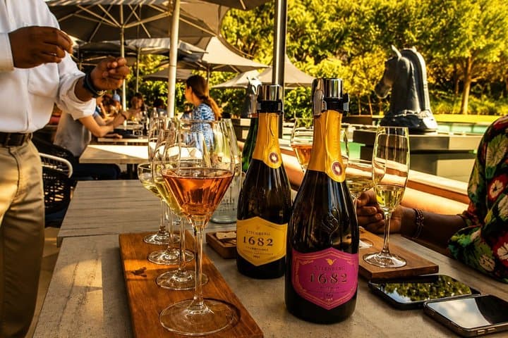 Cape Town: Constantia Winelands