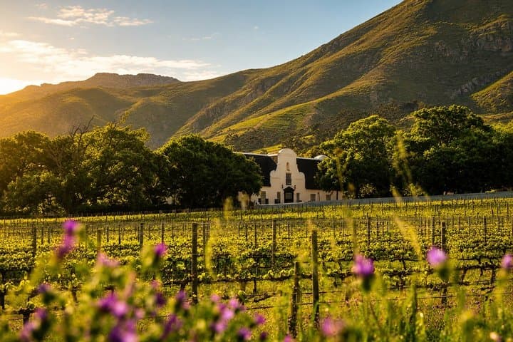 Cape Town: Constantia Winelands