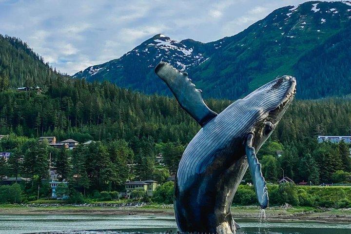 Excursão privada Juneau Sightseeing SUV/Van