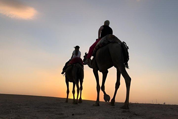 Marrakech Agafay Desert Sunset Camel Ride Show & Pickup