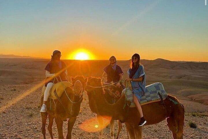 Marrakech Agafay Desert Sunset Camel Ride Diner Show & Ophalen