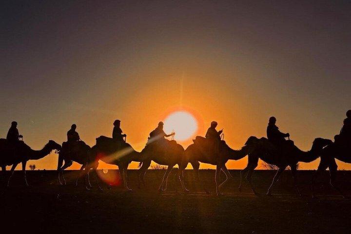 Marrakech Desert Agafay Sunset Dinner Show & Hoteltransfer