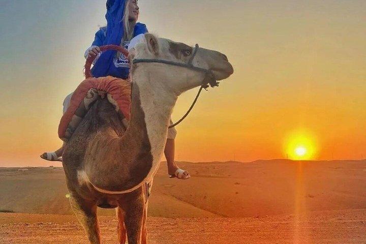 Marrakech Agafay Desert Sunset Camel Ride Show & Pickup