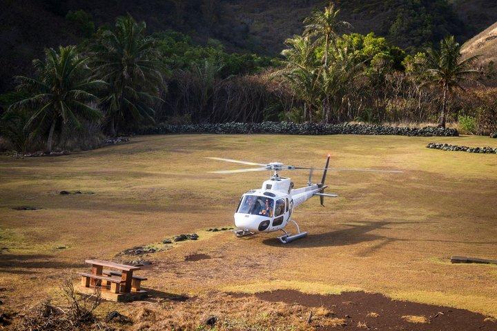 ウェストマウイ島とモロカイ島オーシャンフロント上陸ヘリコプターツアー