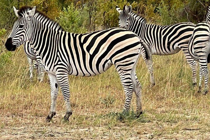 Chobe Full Day e combinação de Impalila Island