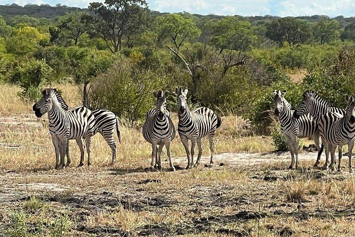 Chobe Full Day y Combo Isla Impalila