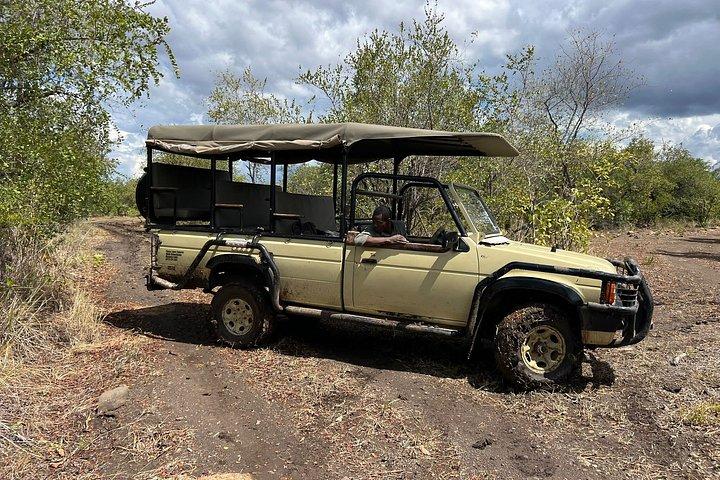Chobe Full Day y Combo Isla Impalila
