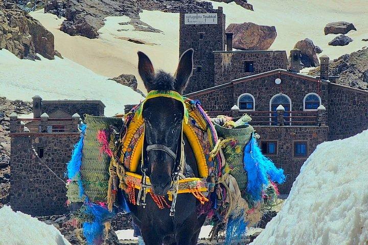 Fra Marrakech Toubkal top 2 dage vandreture