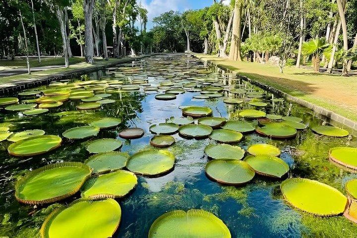 Tour privado por el paisaje cultural del norte de Mauricio