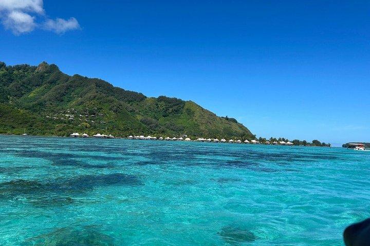 Aktivitet/Lagunetur i Moorea med pirog 6 timer