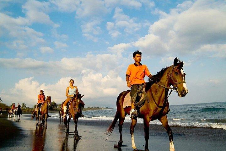 バリ島のブラックサンドビーチ乗馬アドベンチャー