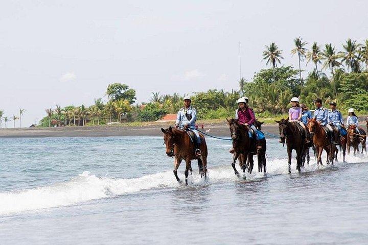 バリ島のブラックサンドビーチ乗馬アドベンチャー