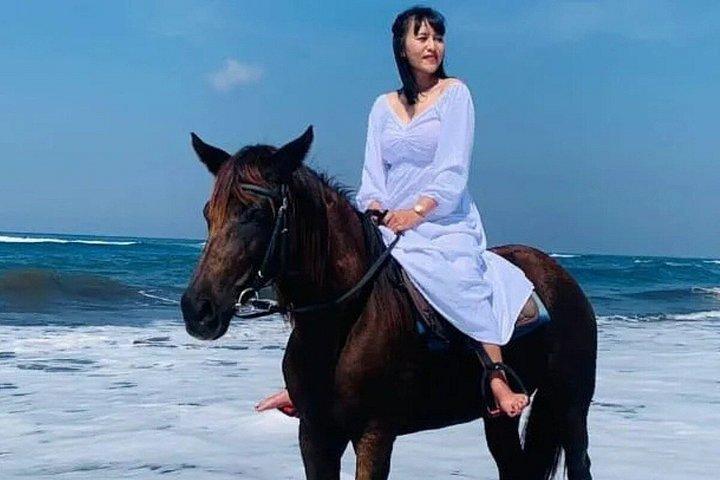 バリ島のブラックサンドビーチ乗馬アドベンチャー