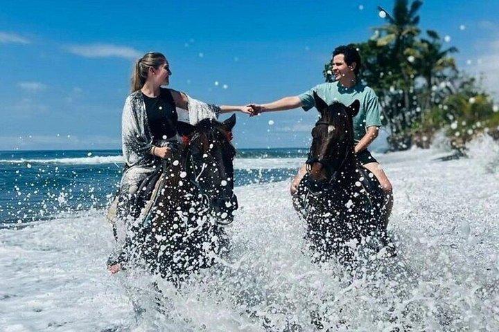 バリ島のブラックサンドビーチ乗馬アドベンチャー