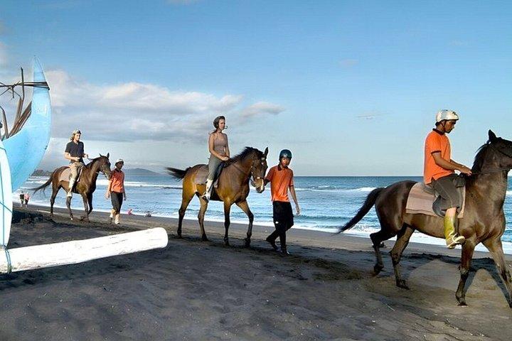 バリ島のブラックサンドビーチ乗馬アドベンチャー