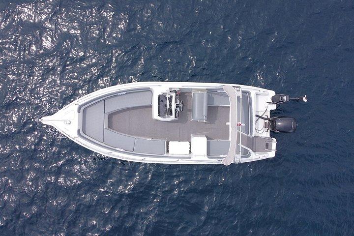 サロニック湾のアテネプライベートボートクルーズ