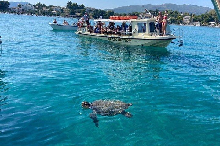 ケリ洞窟とタートル島へのザキントスグラスボトムボートツアー