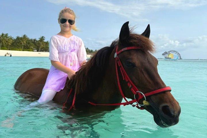 Sansibar Reitabenteuer am Nungwi oder Kendwa Beach