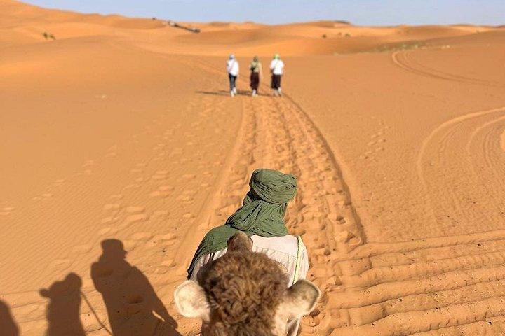 Overnight At Luxury Desert Camp with Camel Ride and Dinner