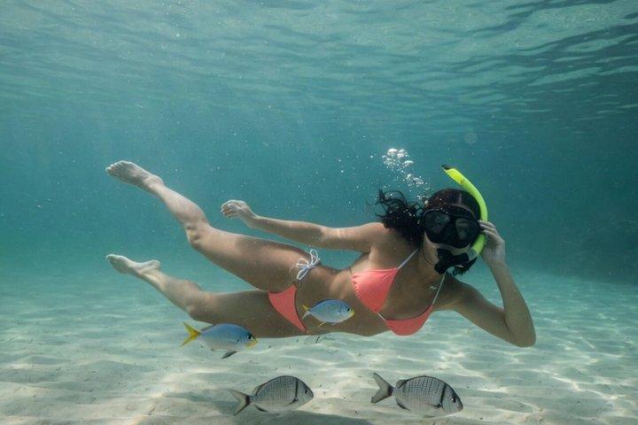 Vanaf Zadar Experience : snorkelen en eilandvibes op een speedboot