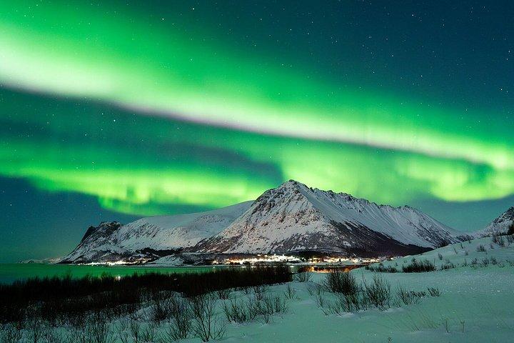 Nordlichtertour ab Henningsvær