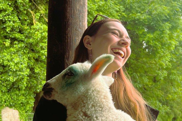 ダブリンから： Wicklow、Glendalough、Waterfall & Sheepdogのデモ
